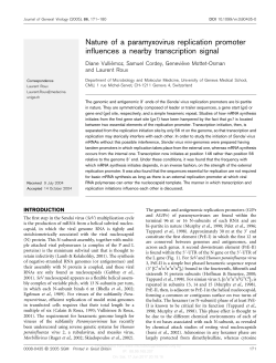 Nature of a paramyxovirus replication promoter influences a nearby