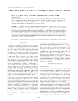 laboratory hybridization between crassostrea ariakensis and c