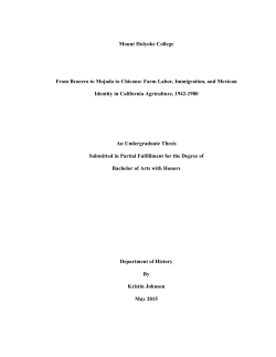 From Bracero to Mojado to Chicano- Thesis  - IDA Home