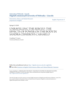 UNRAVELLING THE REBOZO - DigitalCommons@University of