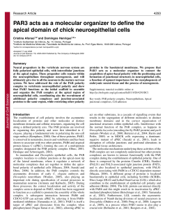 PAR3 acts as a molecular organizer to define the apical domain of