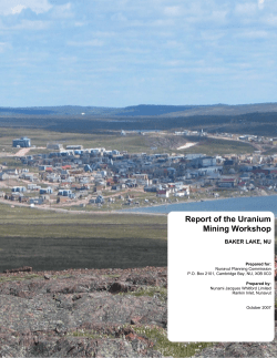 IPG Uranium Mining Workshop Report_Eng