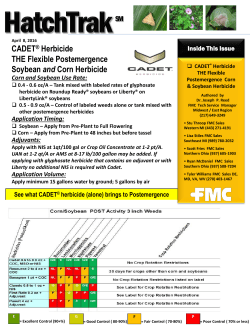 CADET® Herbicide THE Flexible Postemergence Soybean and