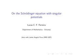 On the Schr&ouml;dinger equation with singular potentials