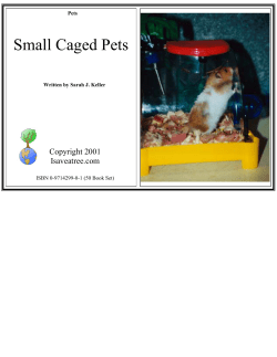 Small Caged Pets
