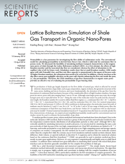 Lattice Boltzmann Simulation of Shale Gas