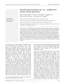 Gemella asaccharolytica sp. nov., isolated from human clinical