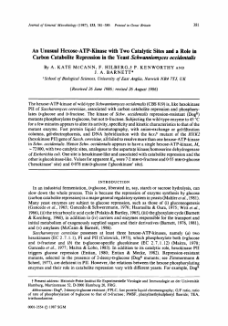 An Unusual Hexose-ATP-Kinase with Two Catalytic