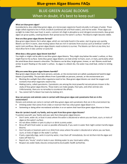 Blue-green Algae Blooms FAQs BLUE