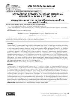 INTERACTIONS BETWEEN CALVES OF AMAZONIAN MANATEES