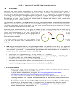 Module 9: Extraction of Plasmid DNA and Restriction Mapping 1