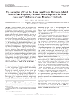 Up-Regulation of Fetal Rat Lung Parathyroid Hormone