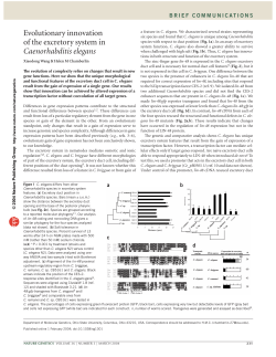 Evolutionary innovation of the excretory system in