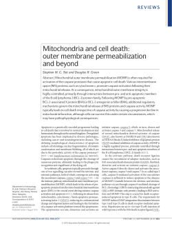 Mitochondria and cell death: outer membrane permeabilization and