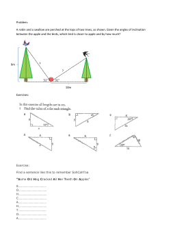 Problem: A robin and a swallow are perched at the tops of two trees