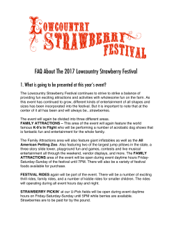 FAQ About The 2017 Lowcountry Strawberry Festival