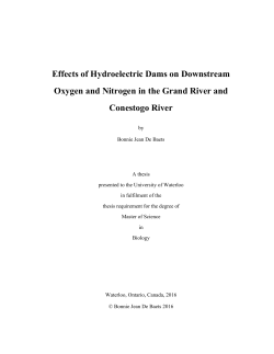 Effects of Hydroelectric Dams on Downstream Oxygen and Nitrogen