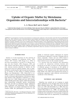 Uptake of Organic Matter by Meiofauna Organisms and