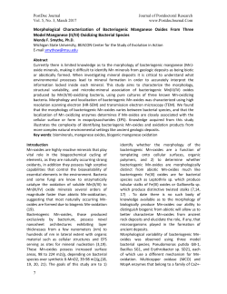 7 Morphological Characterization of Bacteriogenic Manganese