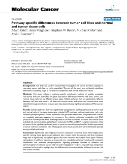 Pathway-specific differences between tumor cell lines and normal