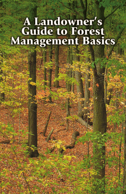Landowner`s Guide to Forest Management Basics