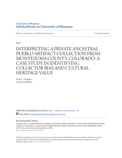 interpreting a private ancestral pueblo artifact collection from