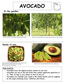 avocado - WSU Extension