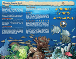 Manatee County Artificial Reefs