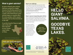 Salvinia Brochure