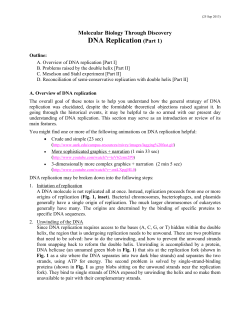 DNA Replication (Part 1)