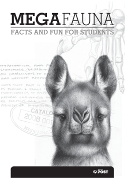 facts and fun for students