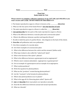 plant study guide 2014