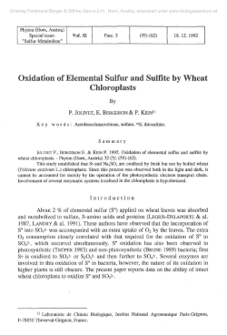 Oxidation of Elemental Sulfur and Sulfite by Wheat