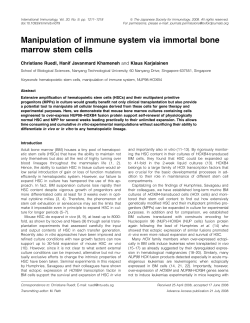 Manipulation of immune system via immortal bone marrow stem cells