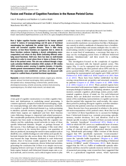 Fusion and Fission of Cognitive Functions in the