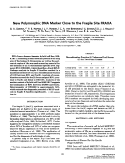 New Polymorphic DNA Marker Close to the Fragile