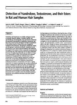 Detection of Nandrolone, Testosterone, and their Esters in Rat and