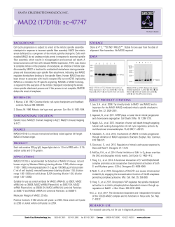 Datasheet - Santa Cruz Biotechnology