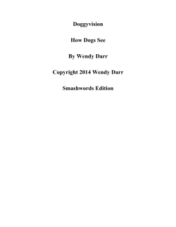 Doggyvision How Dogs See By Wendy Darr Copyright 2014 Wendy