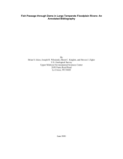 Fish Passage through Dams in Large Temperate Floodplain Rivers