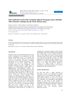 article (Open Access)