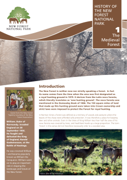 The Medieval Forest - New Forest National Park Authority