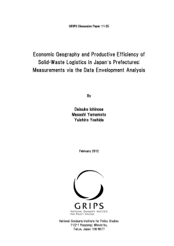 Economic Geography and Productive Efficiency of Solid