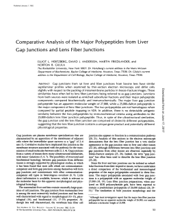 Comparative Analysis of the Major Polypeptides from Liver Gap