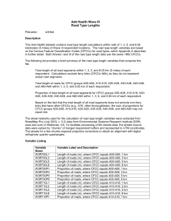 Add Health Wave III Road Type Lengths