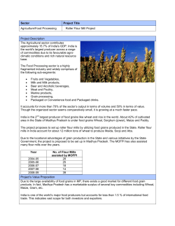 Roller Flour Mill Project - MP Trade and Investment Facilitation