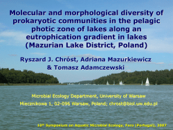 Molecular and morphological diversity of prokaryotic communities in