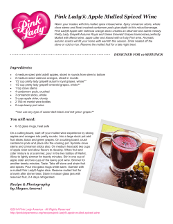 Pink Lady&reg; Apple Mulled Spiced Wine