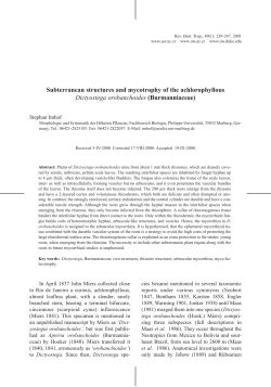 Subterranean structures and mycotrophy of the
