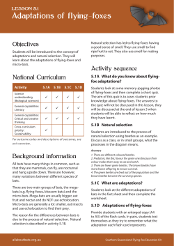 Adaptations of flying-foxes